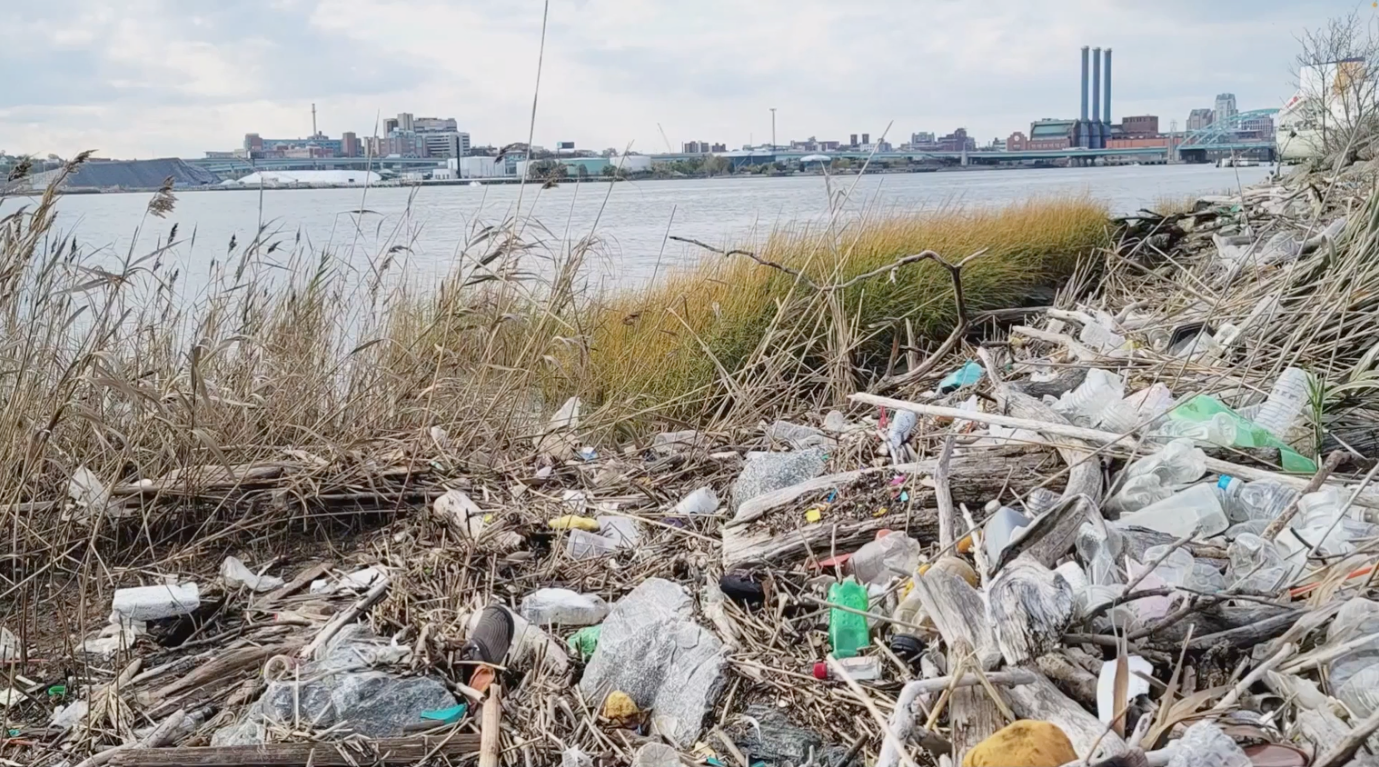 A recent photo taken on the eastern shore of Narragansett Bay looking north to Providence. The Hurricane Barrier is in the background, and the foreground captures excessive plastic waste on the shoreline.